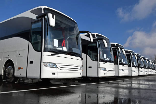 bus